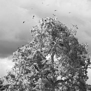 Black and white_0015.jpg